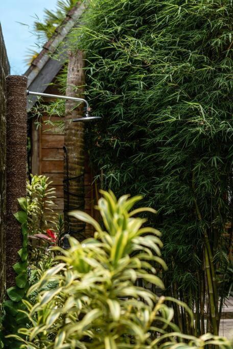 The Padang Villa Jungle Escape 5 Mins Drive From Uluwatu'S Beaches Εξωτερικό φωτογραφία